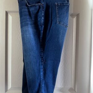 Lane Bryant Blue Capri Pants